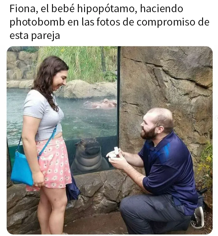 20 Divertidos memes con los que las mujeres se sentirán identificadas