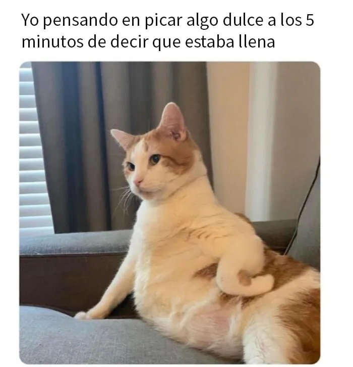 20 Divertidos memes con los que las mujeres se sentirán identificadas