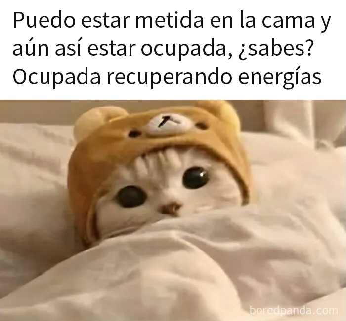 20 Divertidos memes con los que las mujeres se sentirán identificadas
