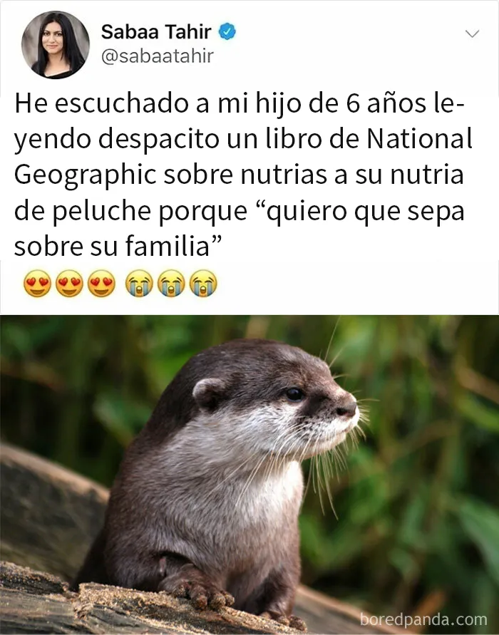 20 Divertidos memes con los que las mujeres se sentirán identificadas