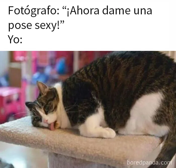 20 Divertidos memes con los que las mujeres se sentirán identificadas