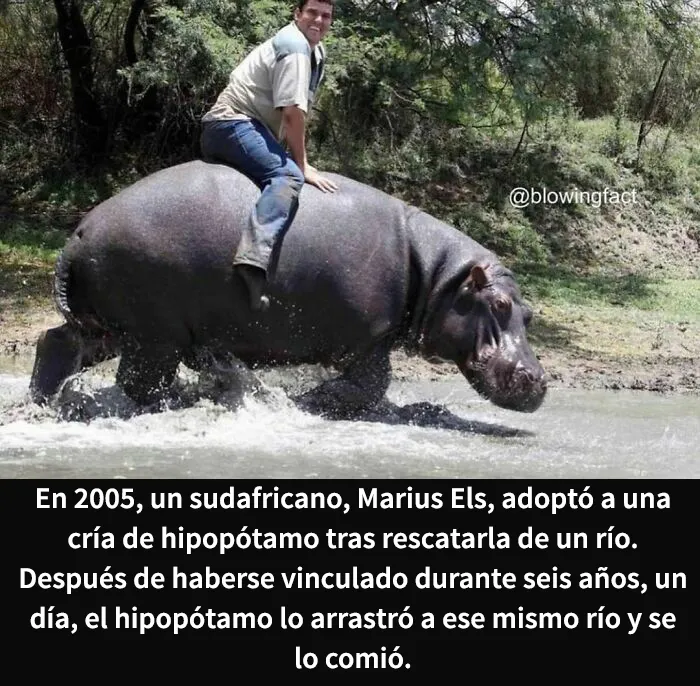 Esta cuenta de Instagram comparte datos extraños y estos son los 24 más escalofriantes