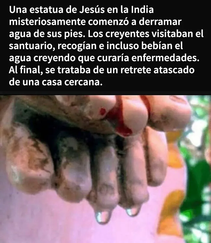 Esta cuenta de Instagram comparte datos extraños y estos son los 24 más escalofriantes