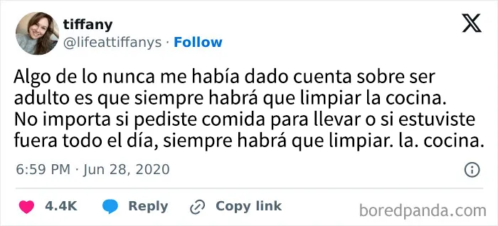 35 publicaciones dolorosamente divertidas de personas que desearían que ser adulto fuera sólo una fase