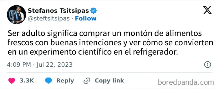 35 publicaciones dolorosamente divertidas de personas que desearían que ser adulto fuera sólo una fase