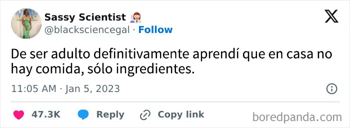 35 publicaciones dolorosamente divertidas de personas que desearían que ser adulto fuera sólo una fase