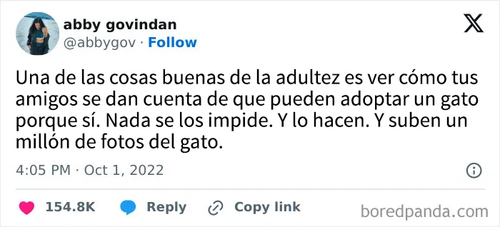35 publicaciones dolorosamente divertidas de personas que desearían que ser adulto fuera sólo una fase