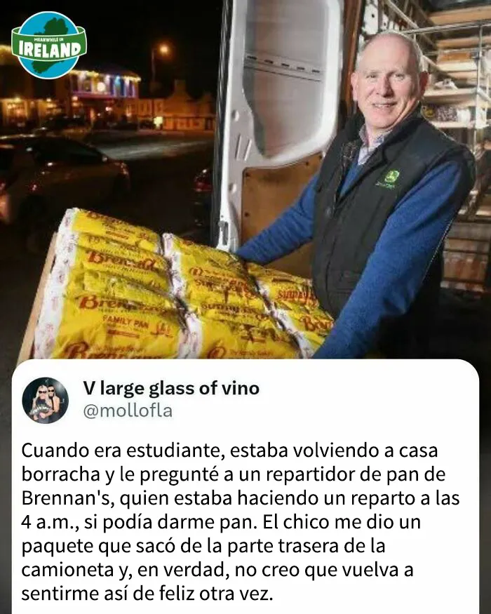 “Mientras tanto, en Irlanda”: estas 20 publicaciones graciosas reflejan el encanto de Irlanda (nuevas imágenes)