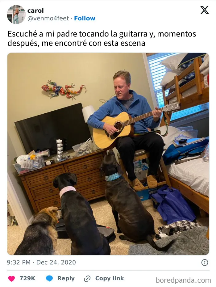 35 memes de perros adorablemente graciosos