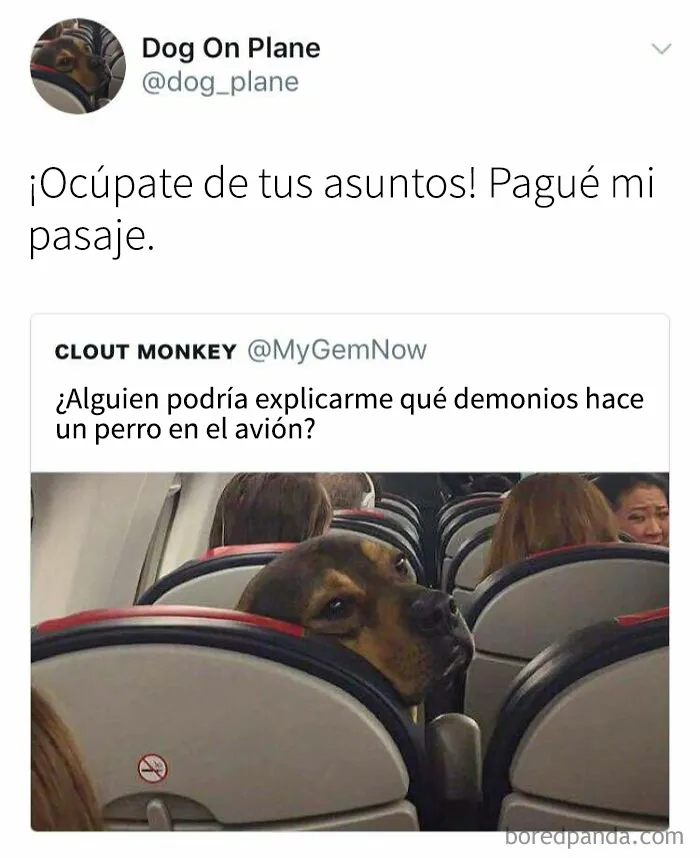 35 memes de perros adorablemente graciosos