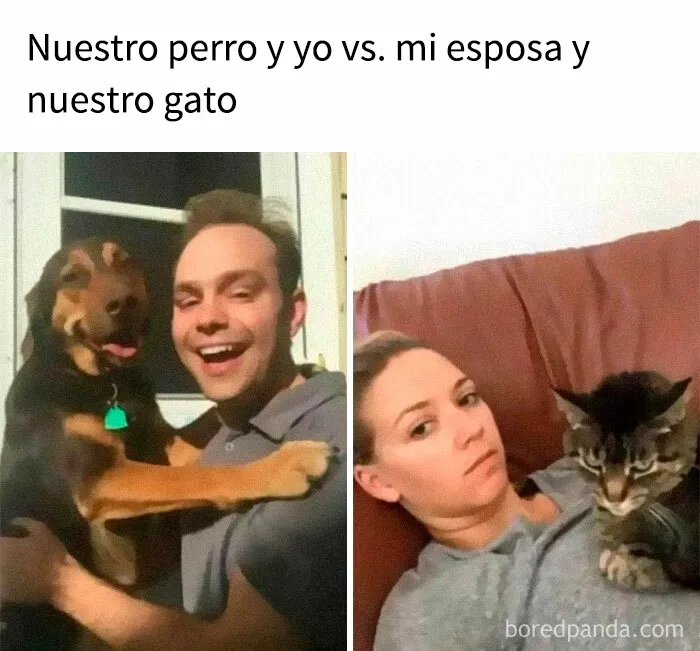 35 memes de perros adorablemente graciosos