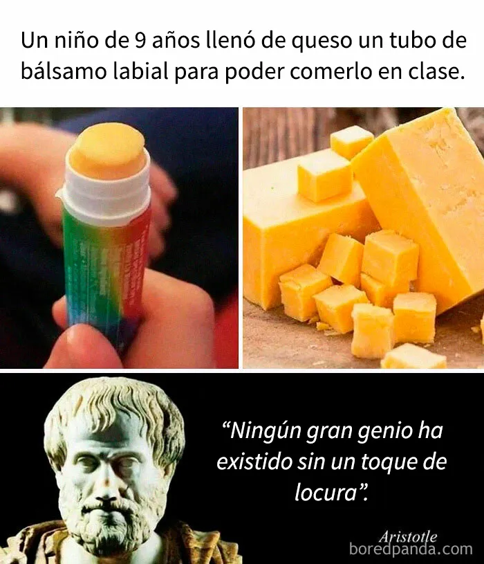 Estos 20 divertidos memes fueron creados especialmente para los intelectuales