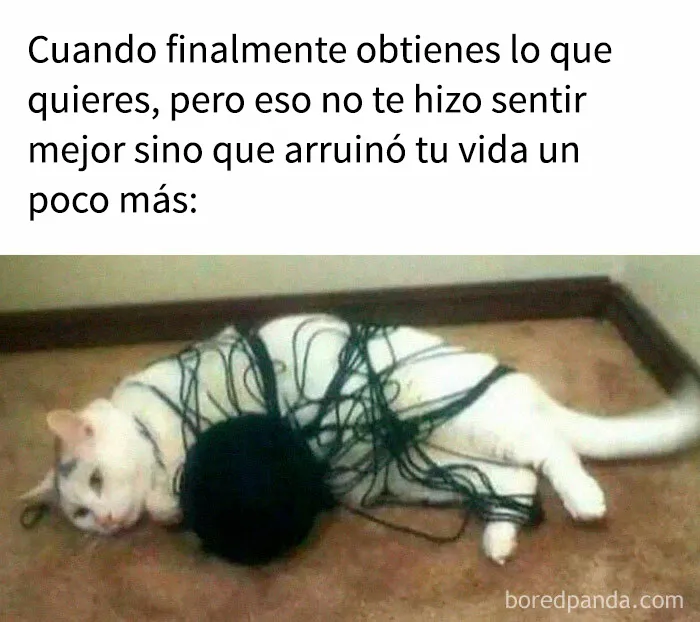 Estos 20 divertidos memes fueron creados especialmente para los intelectuales
