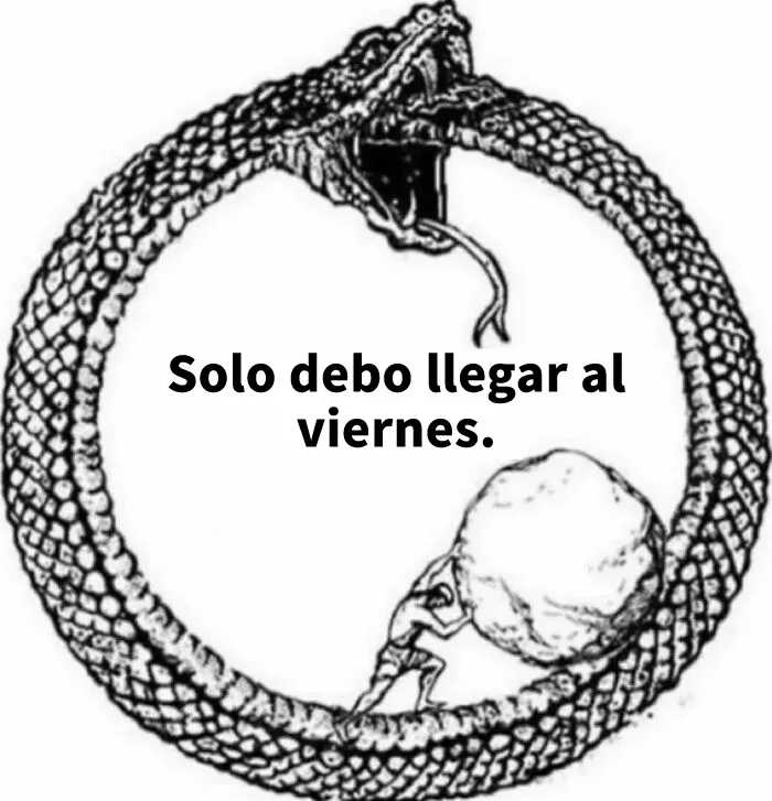 Estos 20 divertidos memes fueron creados especialmente para los intelectuales