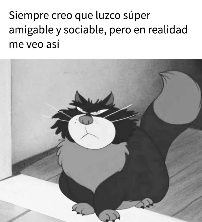 25 divertidos memes que muestran lo mejor del humor británico