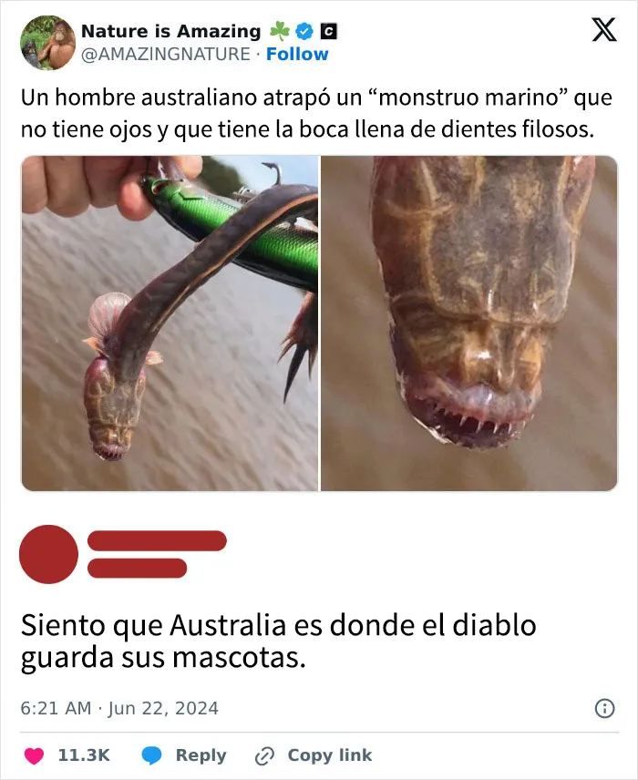 Estos 25 memes divertidos los distraerán de lo que sea que deberían estar haciendo