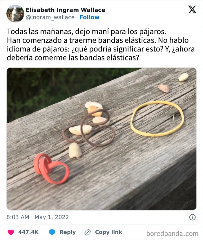 Estos 25 memes divertidos los distraerán de lo que sea que deberían estar haciendo