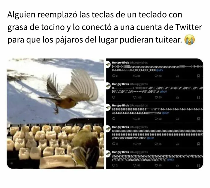 Estos 25 memes divertidos los distraerán de lo que sea que deberían estar haciendo