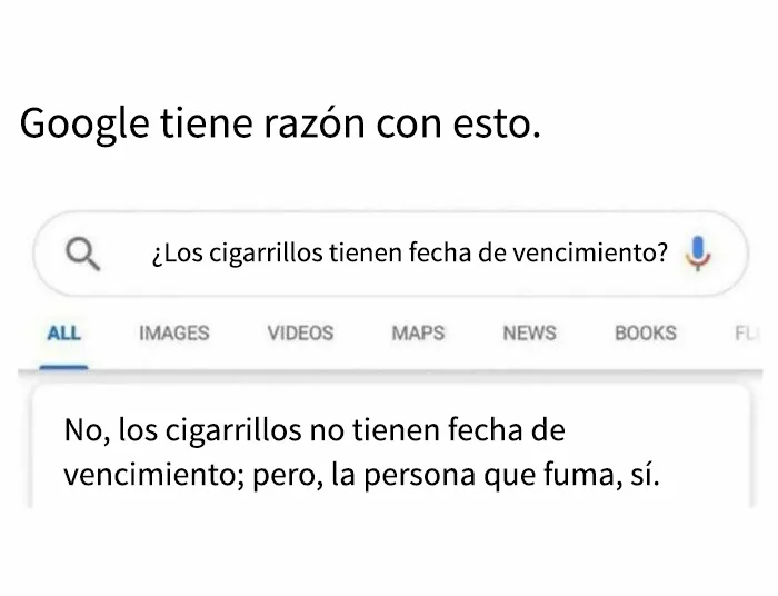 Estos 25 memes divertidos los distraerán de lo que sea que deberían estar haciendo