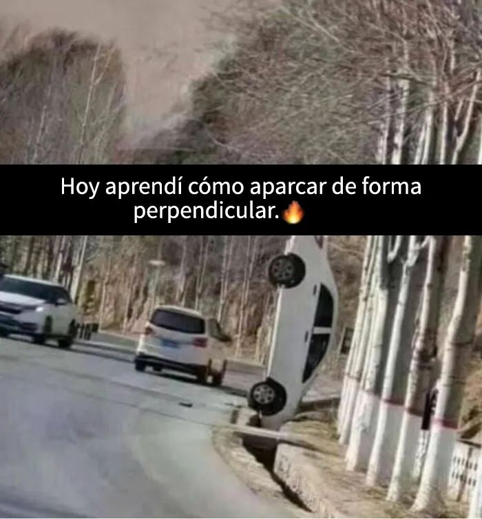 Estos 25 memes divertidos los distraerán de lo que sea que deberían estar haciendo