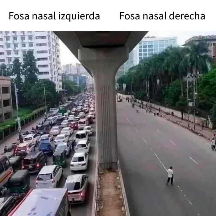 Estos 25 memes divertidos los distraerán de lo que sea que deberían estar haciendo