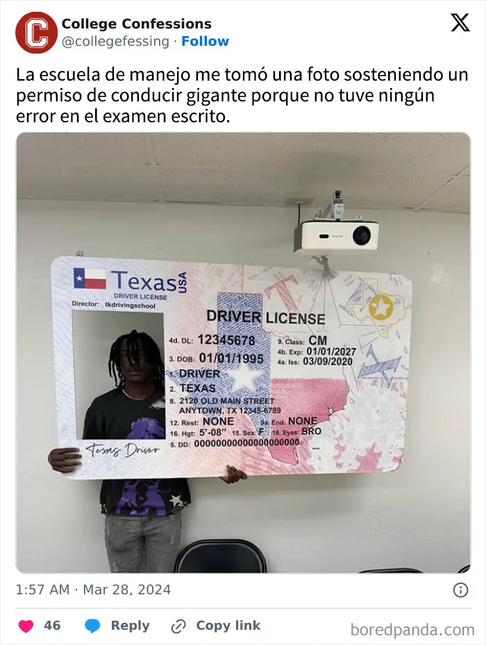 Estos 25 memes divertidos los distraerán de lo que sea que deberían estar haciendo