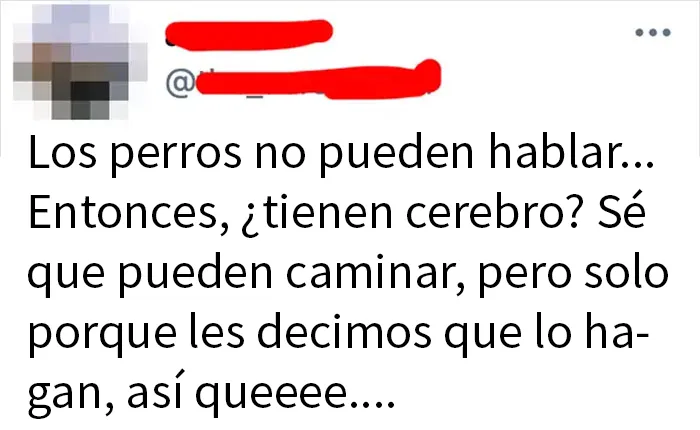 20 De las preguntas más estúpidas que se han hecho en Internet