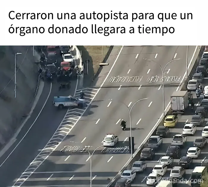Esta popular cuenta de Instagram se encarga de contagiar optimismo con sus conmovedoras publicaciones (25 nuevas imágenes)