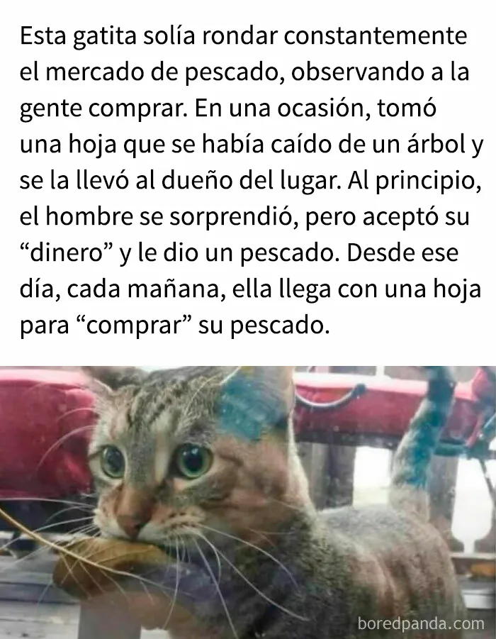 Esta popular cuenta de Instagram se encarga de contagiar optimismo con sus conmovedoras publicaciones (25 nuevas imágenes)