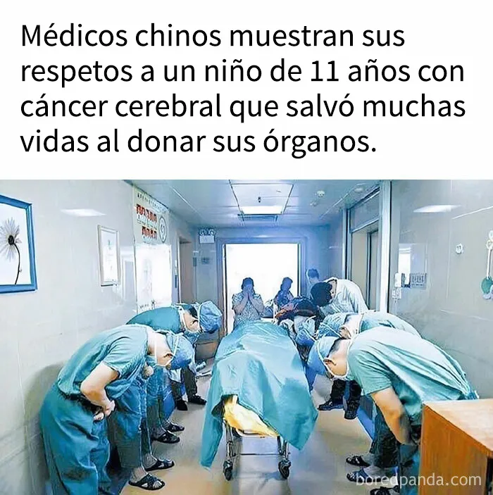 Esta popular cuenta de Instagram se encarga de contagiar optimismo con sus conmovedoras publicaciones (25 nuevas imágenes)