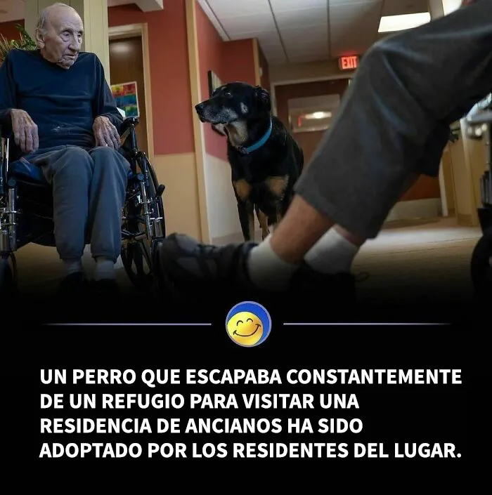 Esta popular cuenta de Instagram se encarga de contagiar optimismo con sus conmovedoras publicaciones (25 nuevas imágenes)