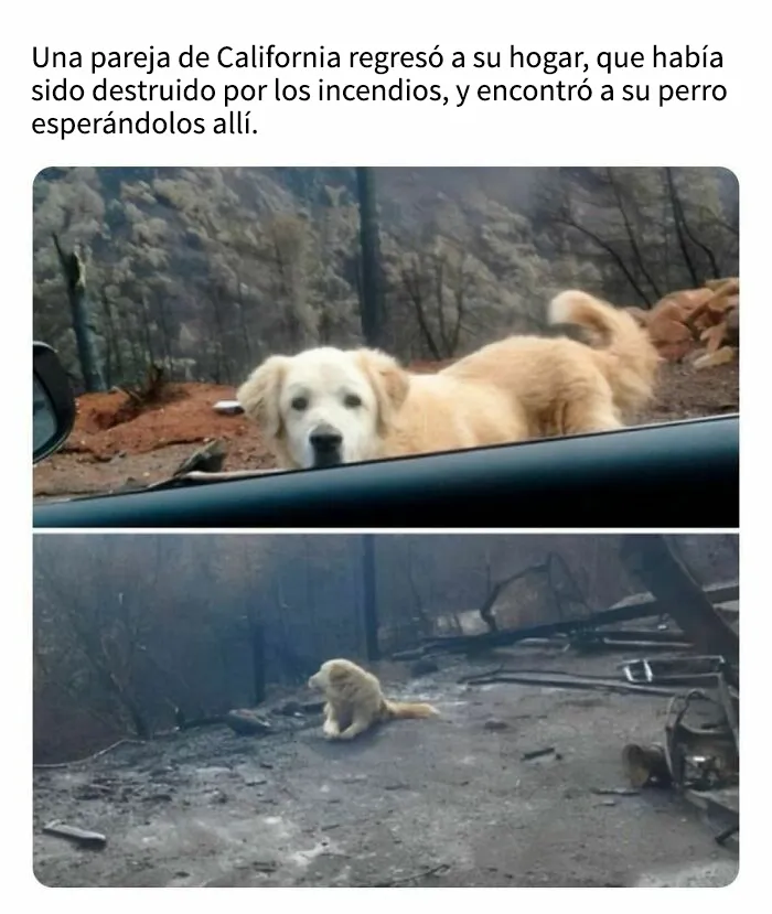 Esta popular cuenta de Instagram se encarga de contagiar optimismo con sus conmovedoras publicaciones (25 nuevas imágenes)