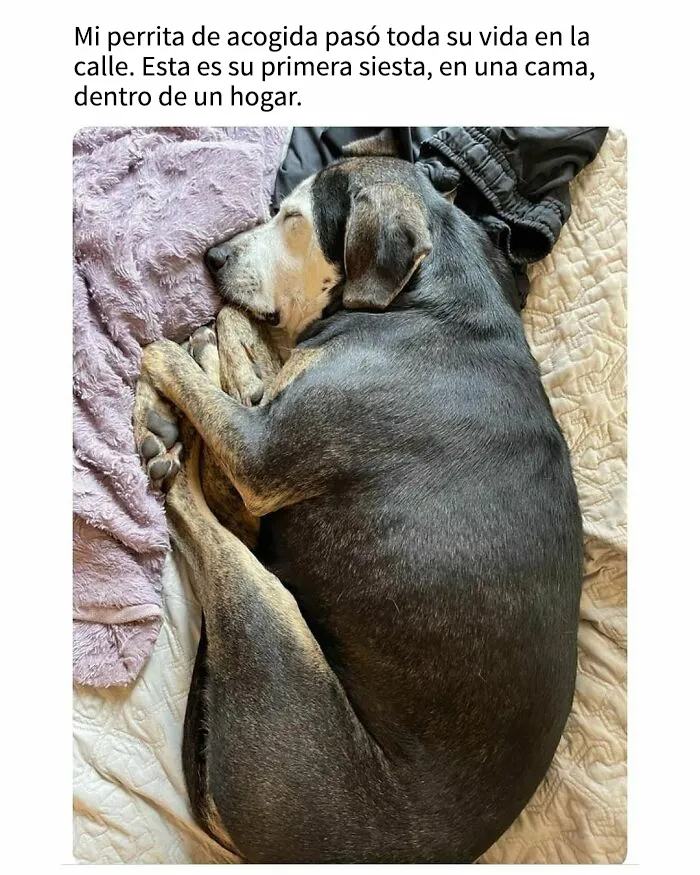 Esta popular cuenta de Instagram se encarga de contagiar optimismo con sus conmovedoras publicaciones (25 nuevas imágenes)