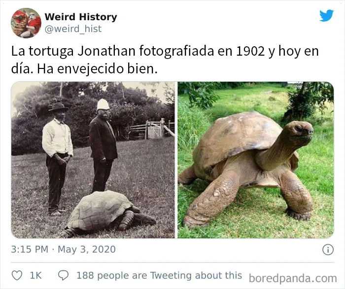 La cuenta de ‘Weird History’ comparte cosas interesantes, divertidas y extrañas que han ocurrido en la Historia