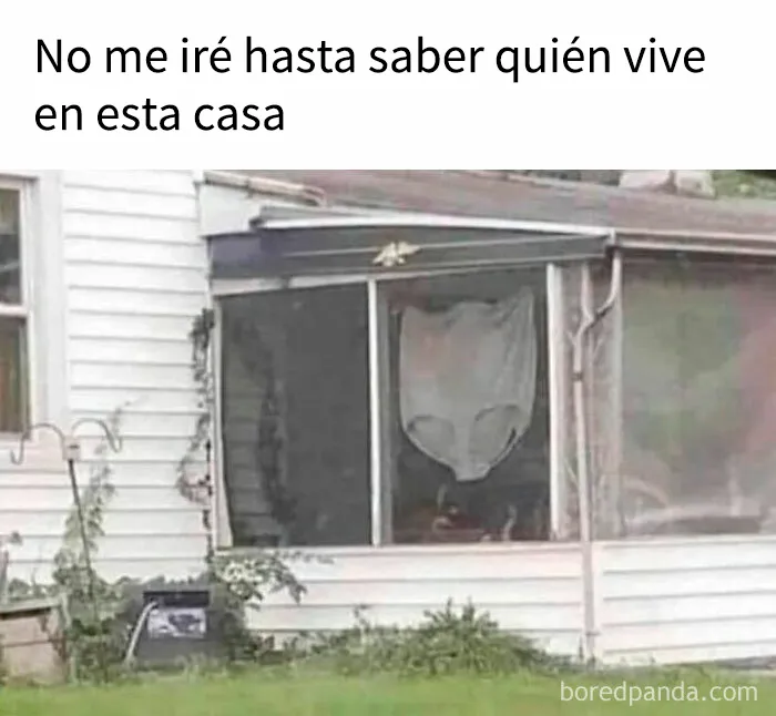 Los peores fallos en Instagram: 20 fotos divertidísimas de personas que fracasaron en algo
