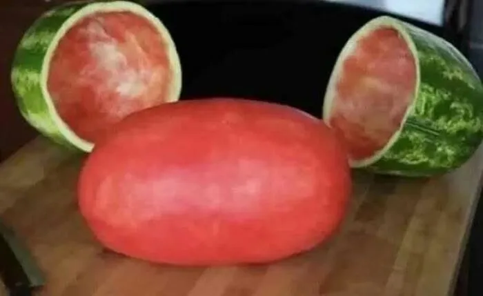 20 Memes salvajes sobre comida caótica que te dejarán sin palabras