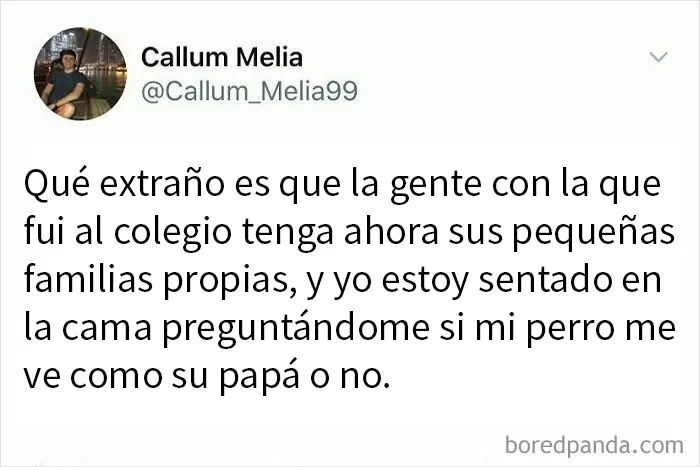 20 Divertidos memes que muestran lo mejor del humor británico