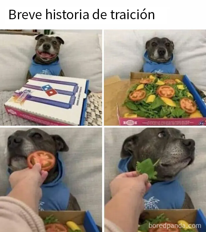 20 Divertidos memes dedicados enteramente a la comida