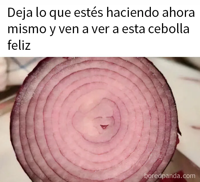 20 Divertidos memes dedicados enteramente a la comida