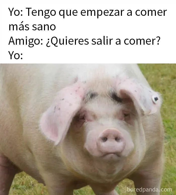 20 Divertidos memes dedicados enteramente a la comida