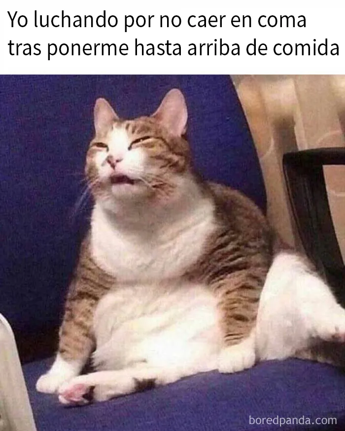 20 Divertidos memes dedicados enteramente a la comida