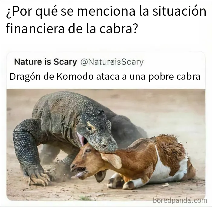 20 Comentarios que acabaron siendo mejores que la publicación original