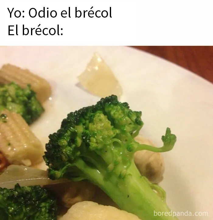 20 Divertidos memes dedicados enteramente a la comida