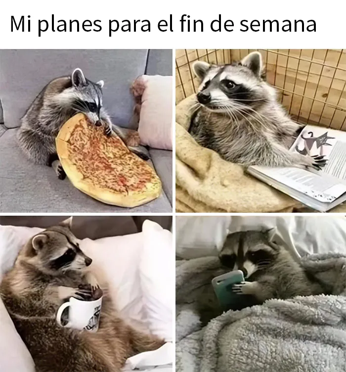 20 Divertidos memes dedicados enteramente a la comida