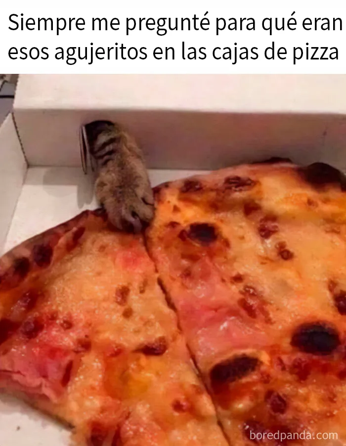 20 Divertidos memes dedicados enteramente a la comida