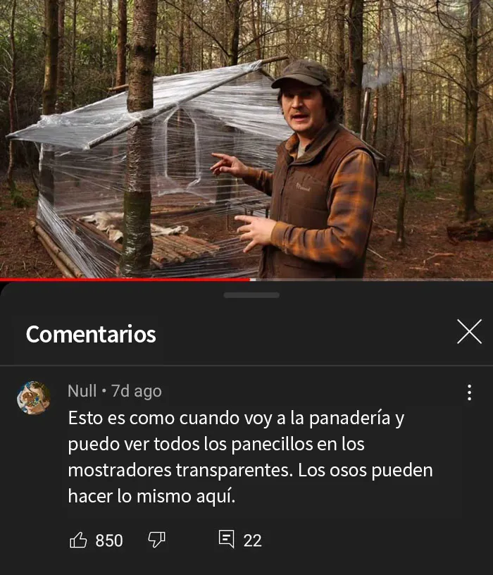 20 Comentarios que acabaron siendo mejores que la publicación original