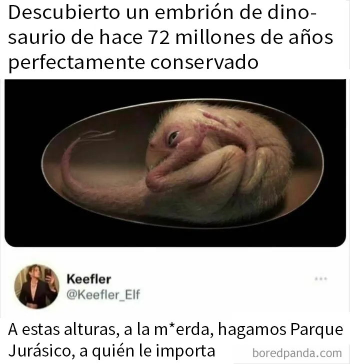 20 Memes divertidos que podrían ser justo lo que necesitas ahora mismo