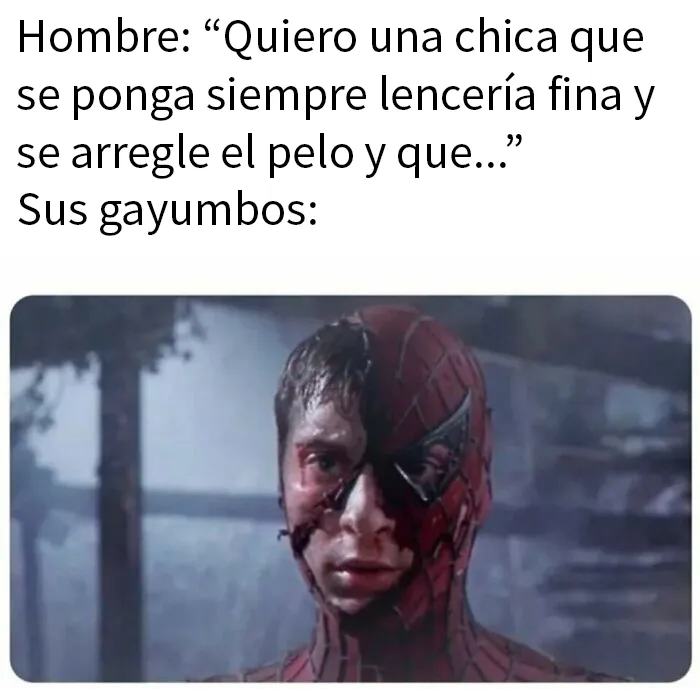 20 Memes divertidos que podrían ser justo lo que necesitas ahora mismo