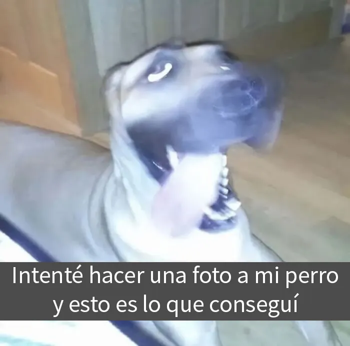20 Memes divertidos que podrían ser justo lo que necesitas ahora mismo