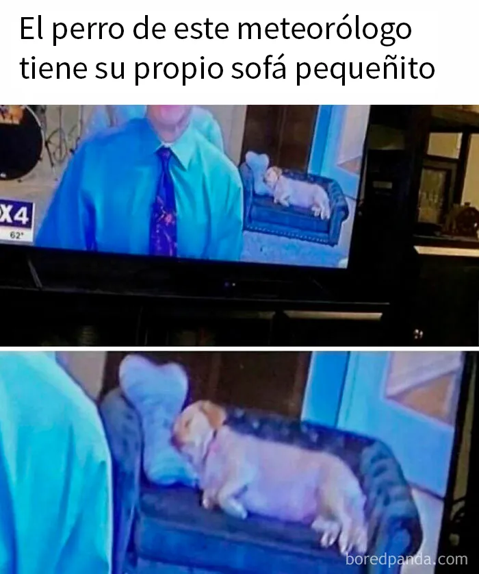 20 Memes caóticos y divertidos sobre cosas de la vida